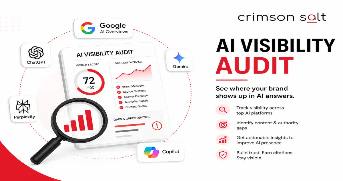 AI Visibility Audit